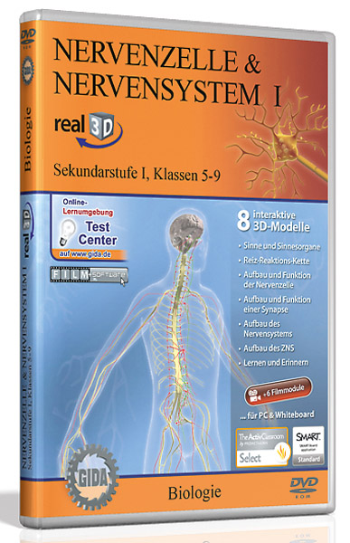 DVD : cellule nerveuse et  système nerveux - Logiciel real3D