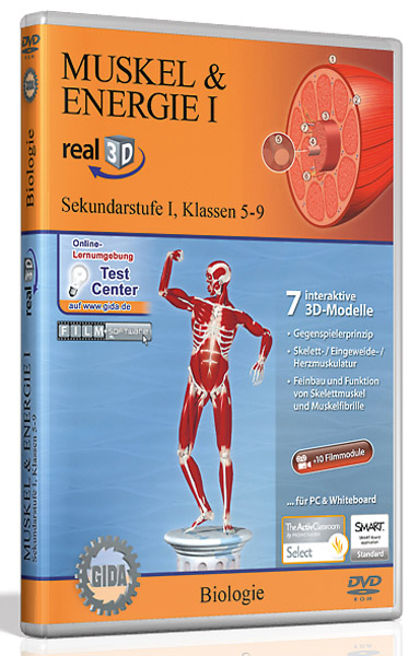 DVD :  muscles et énergie musculaire I - Logiciel real3D