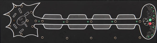 Module de démonstration  d'un neurone pour  le  système BIOMODUL