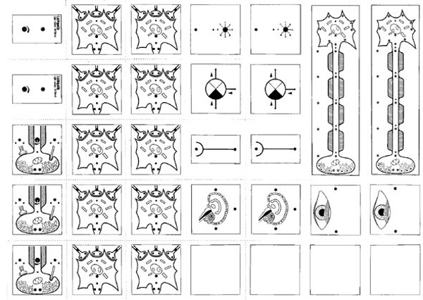 Cartes avec symboles pour le système  BIOMODUL