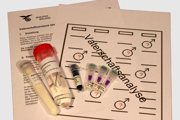Kit ADN analyse de paternité