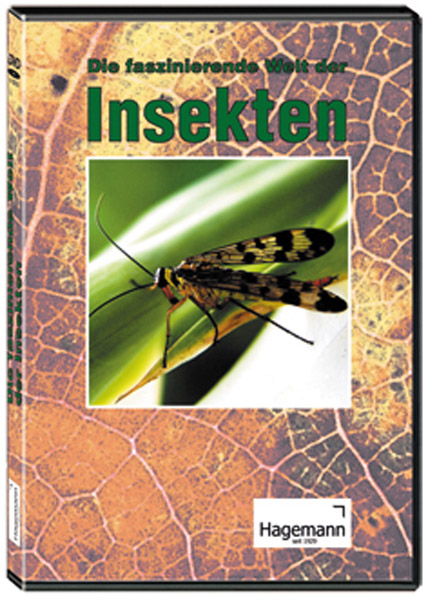 DVD : les insectes, licence monoposte