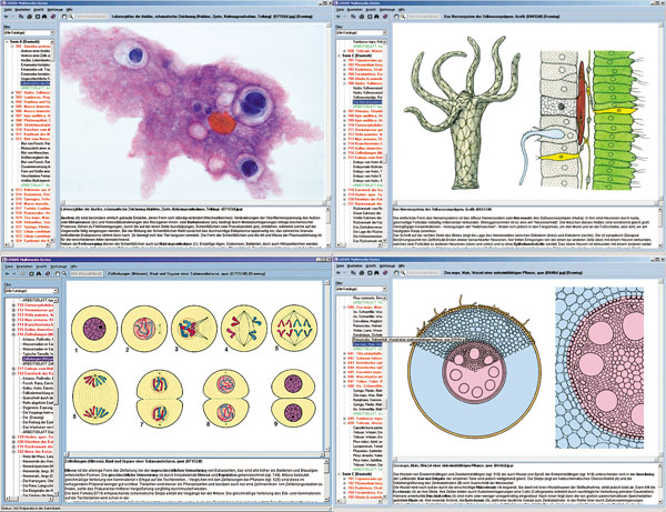 CD : Biologie microscopique, série scolaire A