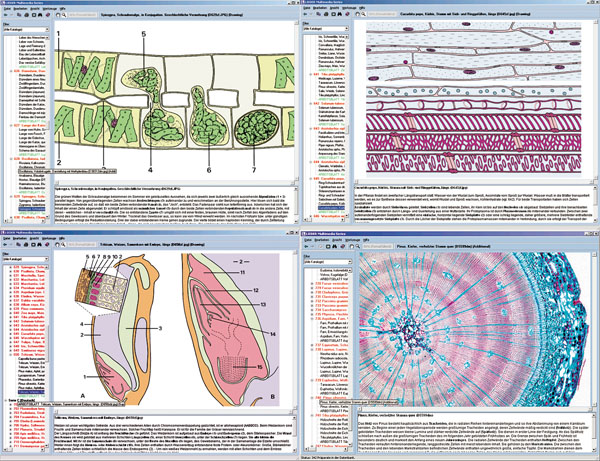 CD : Biologie microscopique, série scolaire B