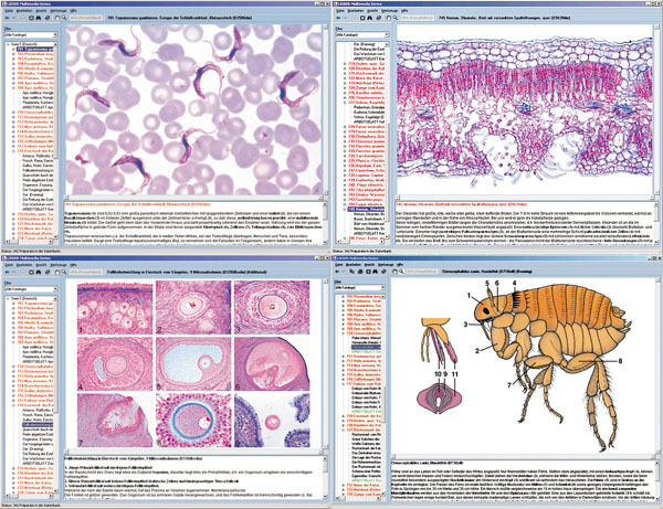 CD : Biologie microscopique, série scolaire C
