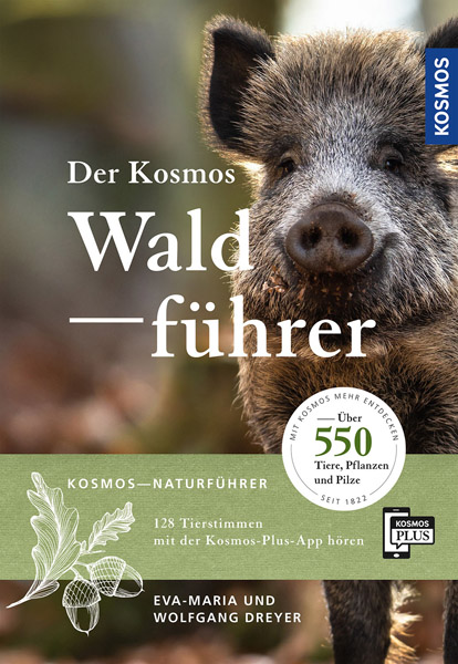 LIT-print: Le guide Kosmos de la forêt, allemand