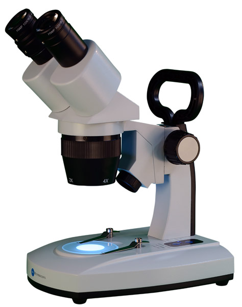 Stéréomicroscope  à LED, 230 V