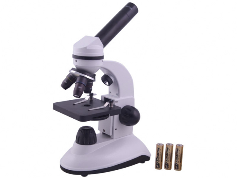 Microscope BMS 036 LED Basic