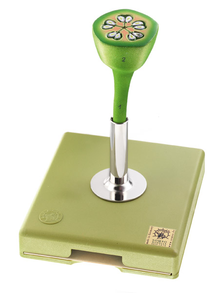 Modèle : fleur du pommier - ovaire en coupe transversale